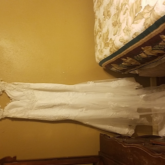 Wedding Dress and veil - Picture 6 of 10